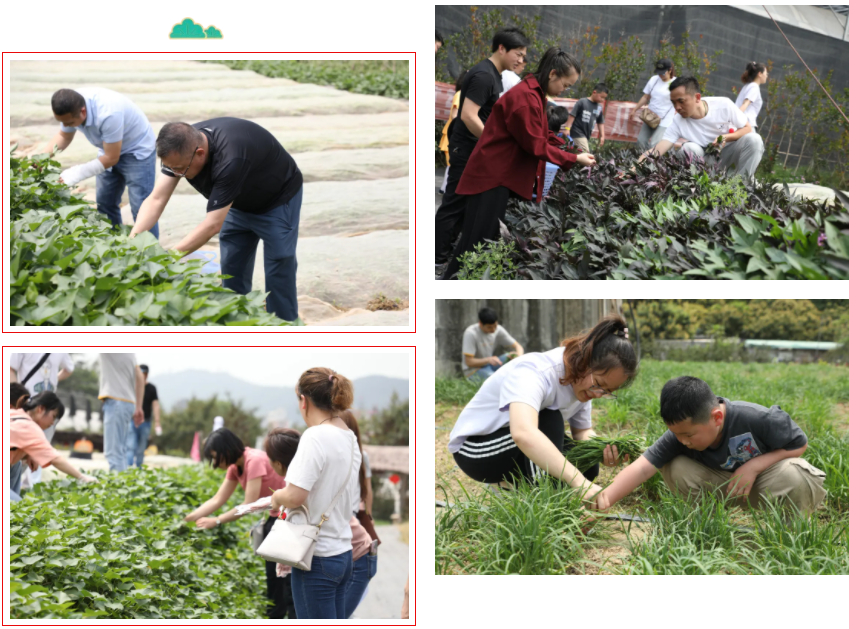 依诺信|凤凰山农趣谷&野炊游记